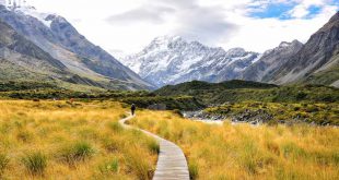 معرفی زیباترین پارک های ملی نیوزیلند