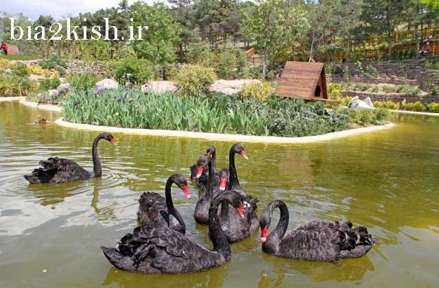 آشنایی با زیبایی های باغ پرندگان در مشهد