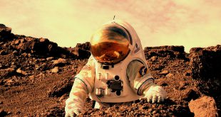 5 دلیل شگفت انگیز در مریخ زندگی می کنند