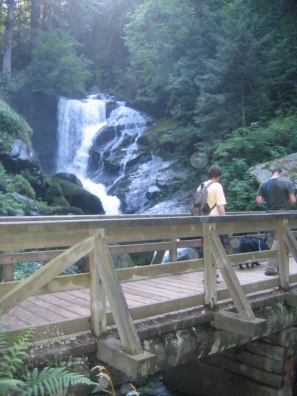 تصاویر گردشگری آبشار تری‌برگ