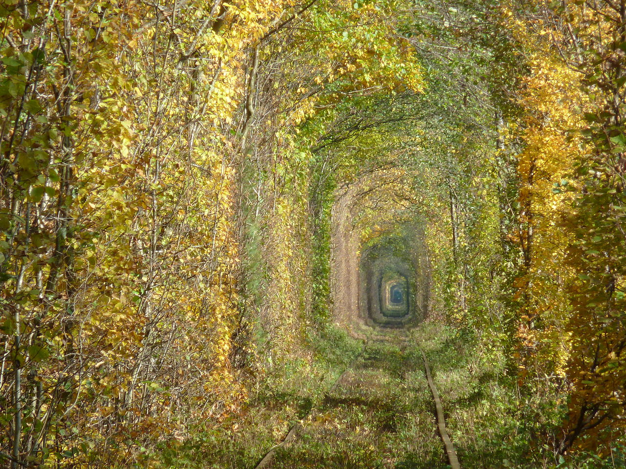 Love tunnel